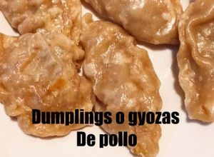 Una foto de Dumplings de Pollo