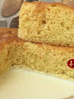 A picture of Tres leche (milk cake).