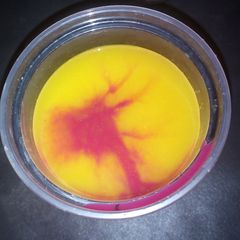 A picture of Homemade cocktail.