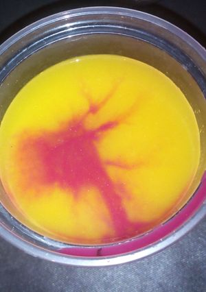 A picture of Homemade cocktail.