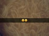 شوربه الشعيريه المنزليه