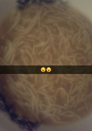 صورة لوصفة شوربه الشعيريه المنزليه