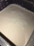 Leche de nueces pecan