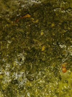 Foto resep Daun singkong tumbuk