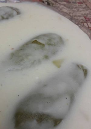 صورة لوصفة كوسا باللبن