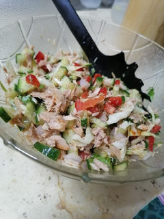 A picture of Tuna fish 🐟Salad 🥗.