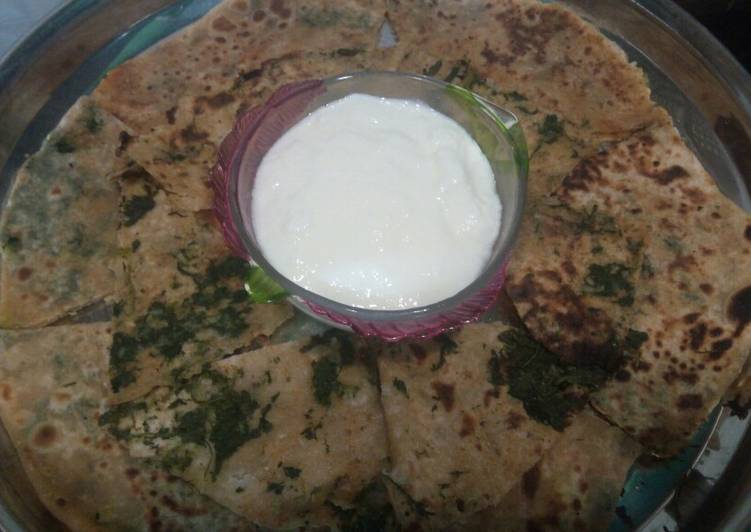 Aloo methi palak mix green paratha