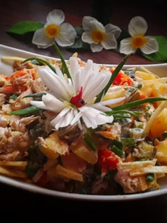عکسی از دستور سالاد مرغ و پیازچه