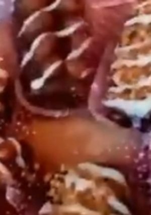 صورة لوصفة قاطو ايذوب في الفم وبنين مم😋😋