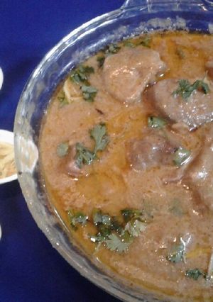 A picture of Beef nehari.