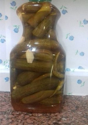 صورة لوصفة مخلل خيار (حد وطيب)😋