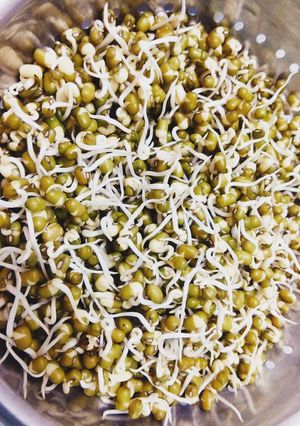 मूंग स्प्राउट (Moong sprout recipe in Hindi) रेसिपी मुख्य फोटो