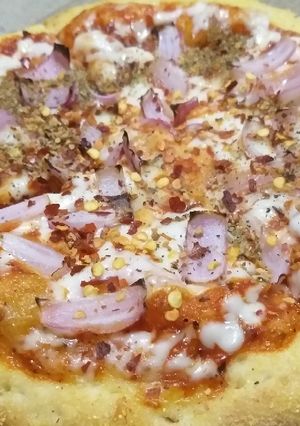 A picture of Onion pizza.
