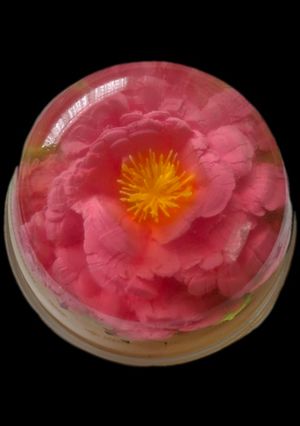عکسی از دستور ژله تزریقی🌺🌸💐