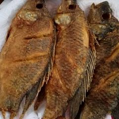 A picture of Fried fish.