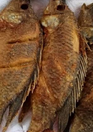 A picture of Fried fish.