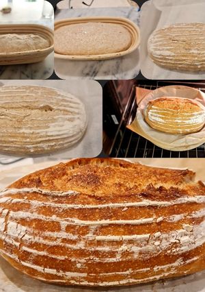 Foto resep Sourdough bread small version