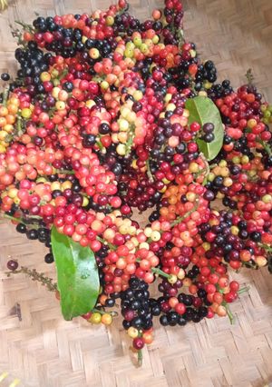 Foto resep Rujak buah huni