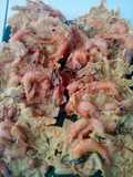Peyek udang maknyus