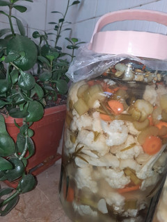 عکسی از دستور شور گل کلم