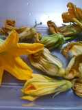 Flores de zapallo tipo muffins