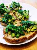 Gourmet Avocado Toast