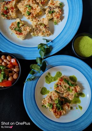 ઓટ્સ વેજ ઢોકળા (Oats Veg Dhokla Recipe In Gujarati) રેસીપી મુખ્ય ફોટો