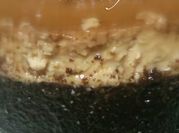 Gambar karamel,kek