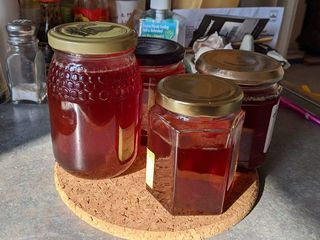 Rosehip and Apple Jelly