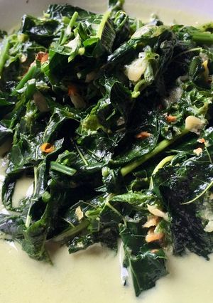 Foto resep Sayur pakis santan