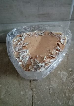 A picture of Gajar ki kheer.