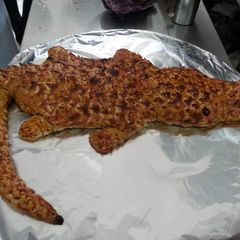 A picture of Crocodile(for decoration only).