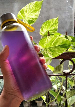Foto resep Teh bunga telang 🌷