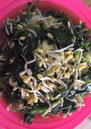 Foto resep Tumis bayam tauge