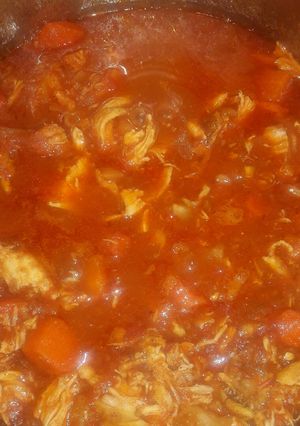 A picture of Cinnamon chicken stew.