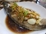 Ikan Tim