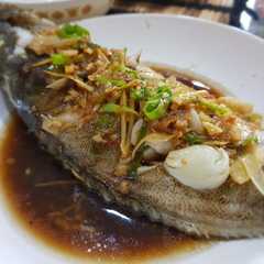 รูปของ Ikan Tim