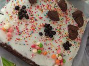 Gambar brownis panggang nutricake