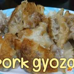 A picture of Gyoza.
