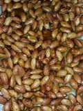 Low-carb Salted Caramel Almond Brittle