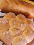 🎉Pan/Bollito de Leche🎉