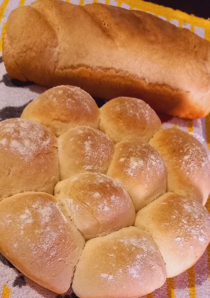 Una foto de 🎉Pan/Bollito de Leche🎉