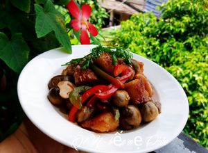 Hình của món Mì căn kho nấm rơm chay.