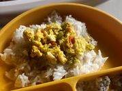 Gambar telor ikan gindara