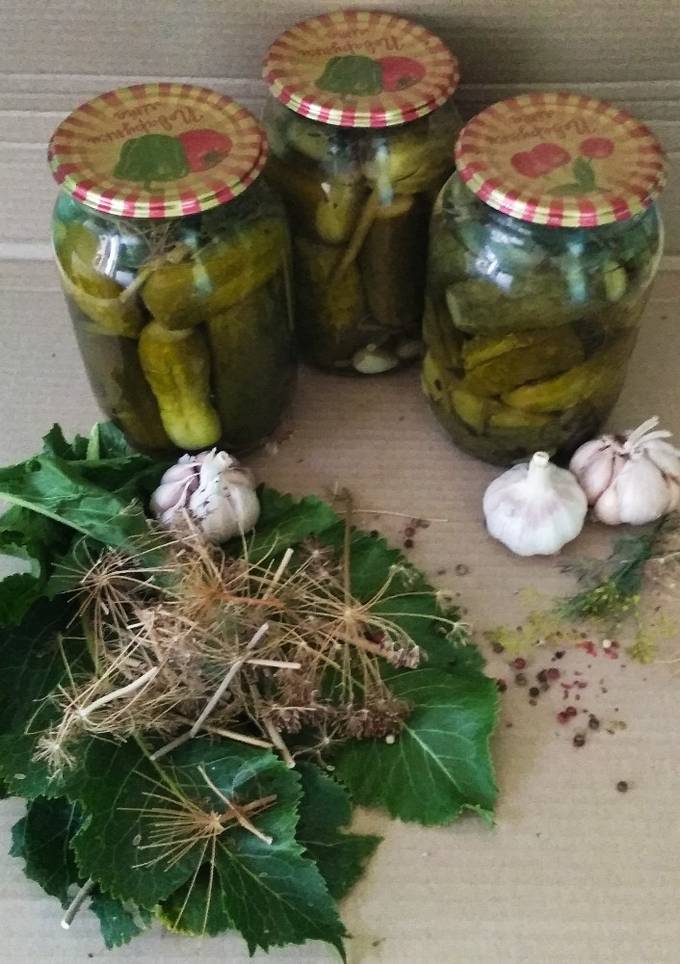 Огірки (кабачки) консервовані