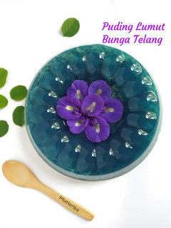 Foto resep Puding Lumut Bunga Telang