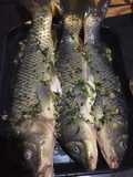 Carpa al horno con adobe