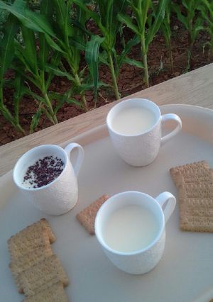 صورة لوصفة مشروب الكسترد الدافي
