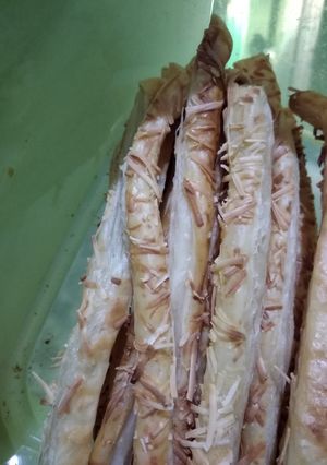 Foto resep Cheese Stick Mudah