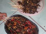Gambar keong kecap